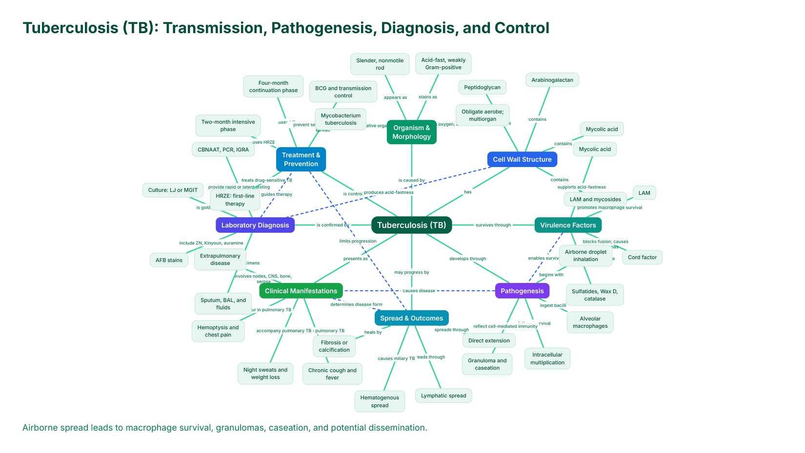 TB Pathogenesis Diagnosis Control