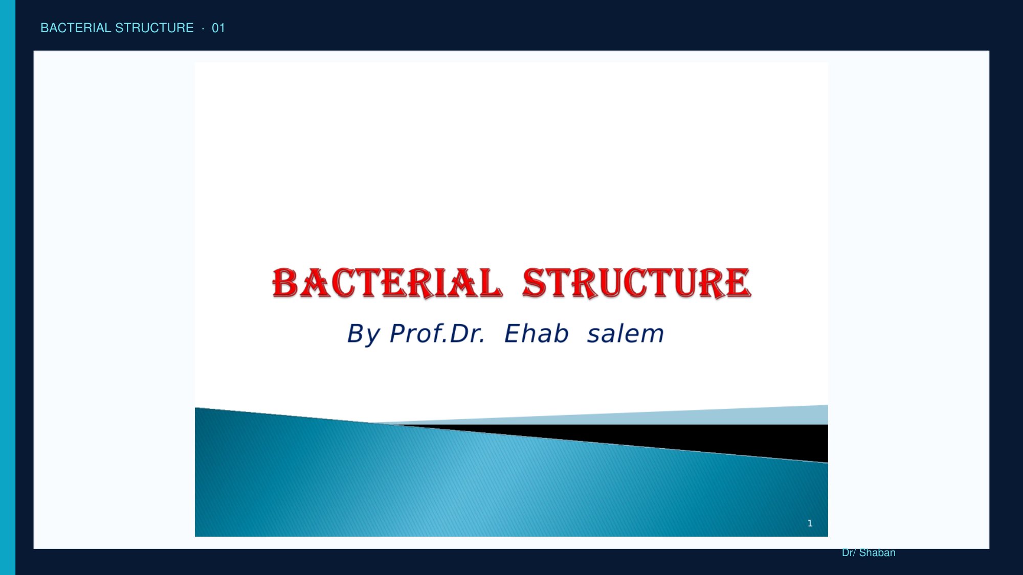 Bacterial Structure