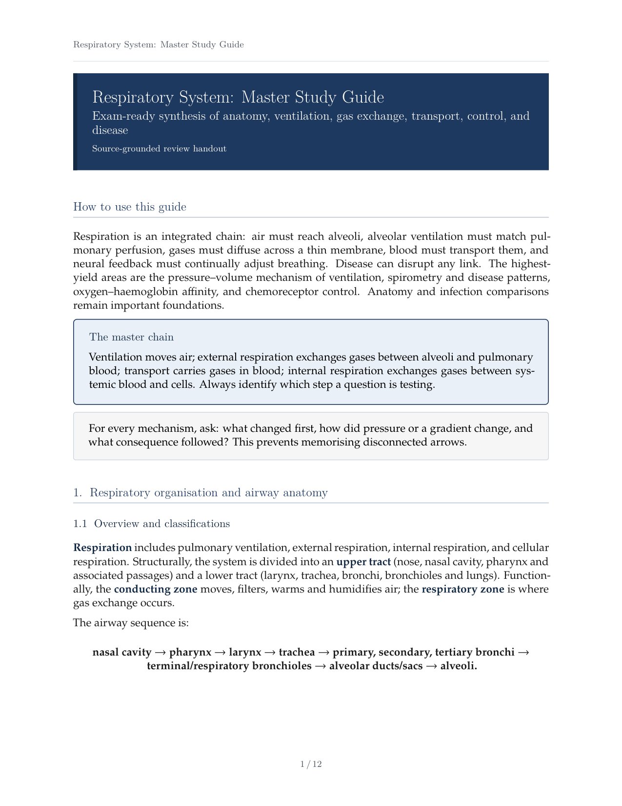 Respiratory System Study Guide