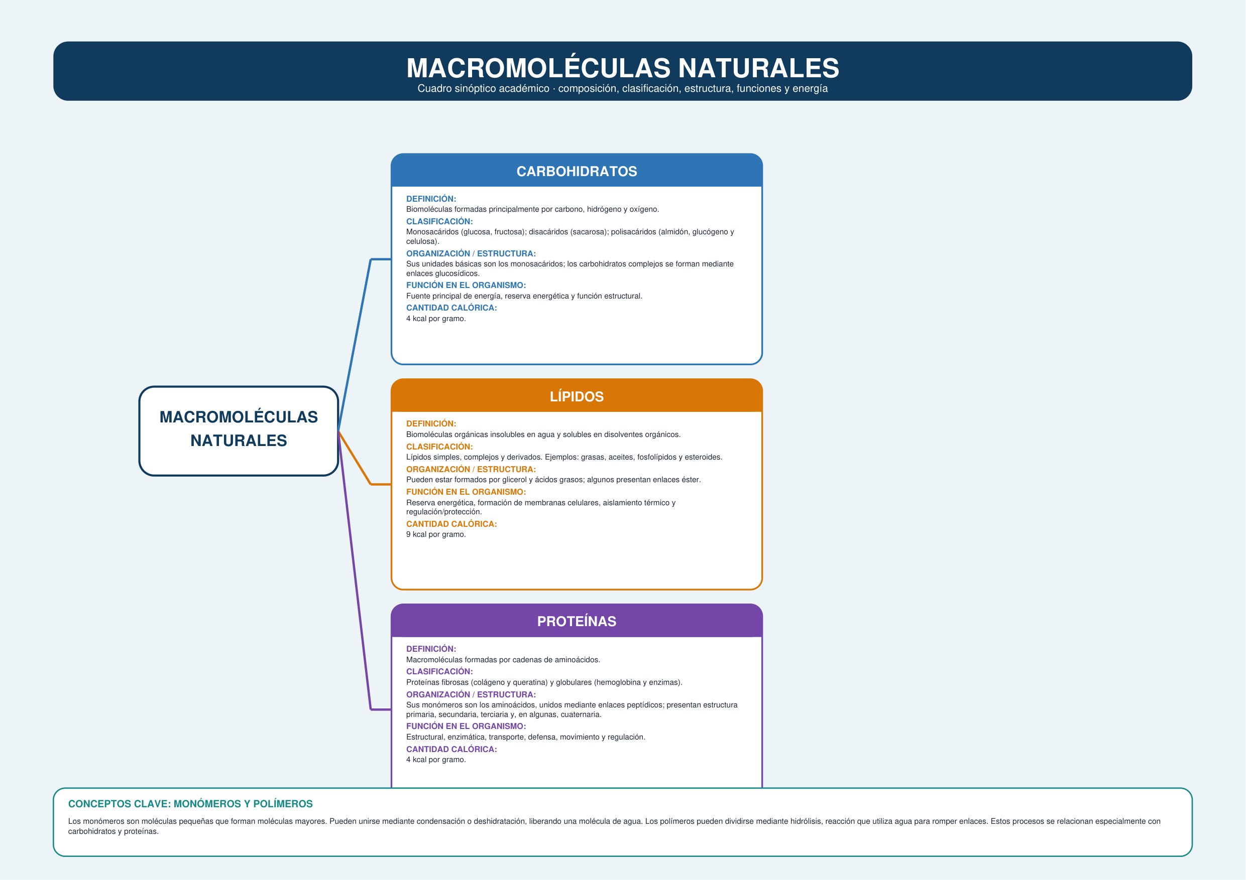 Macromoléculas Naturales