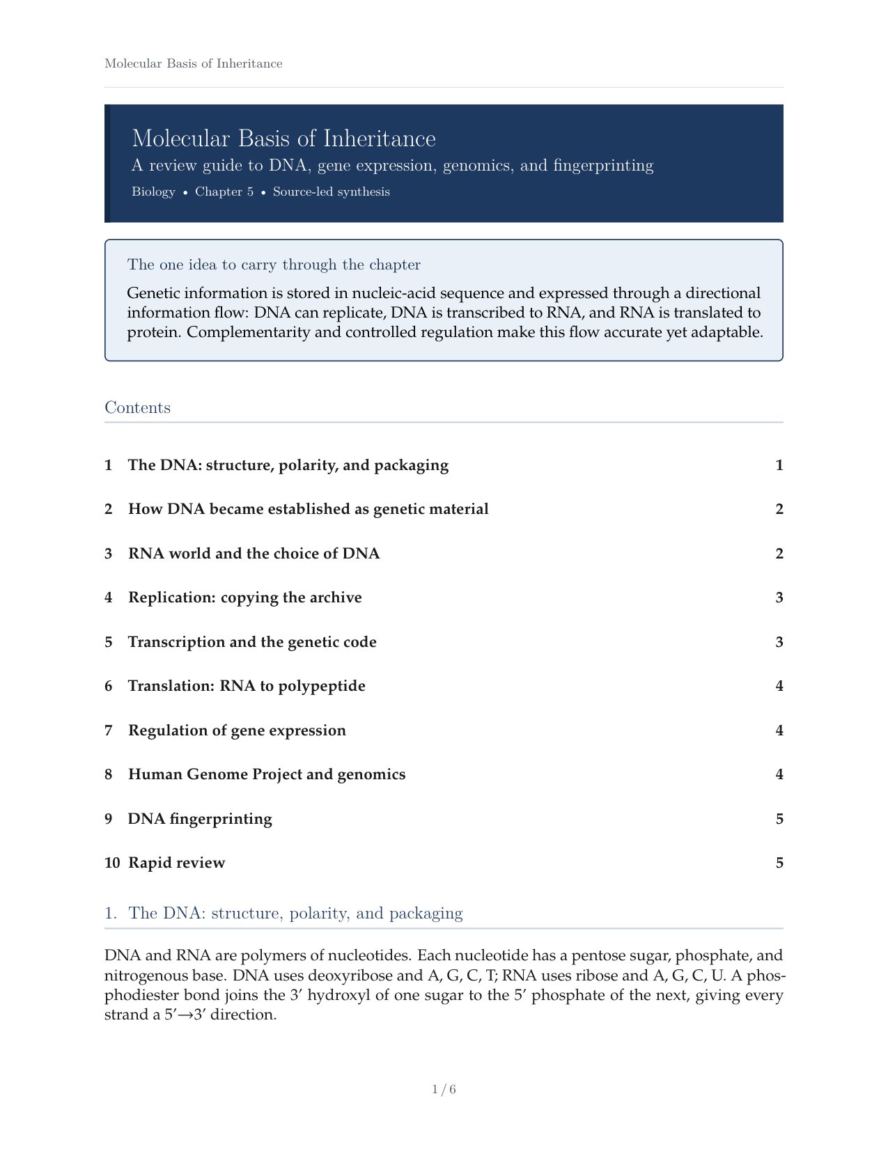 Molecular Basis of Inheritance — Review Guide.pdf