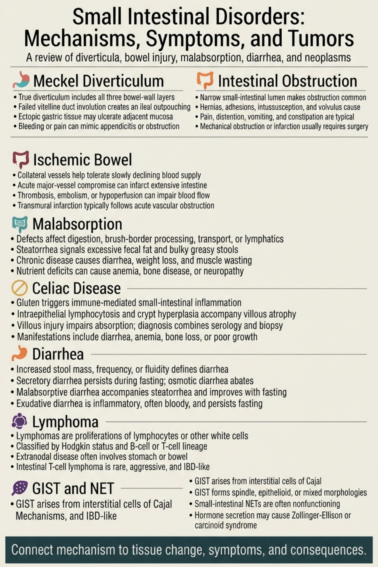 Small Intestinal Disorders Mechanisms, Symptoms, and Tumors.pdf