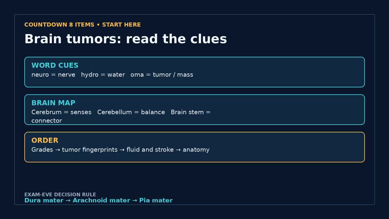 Pathology 302: Day 2