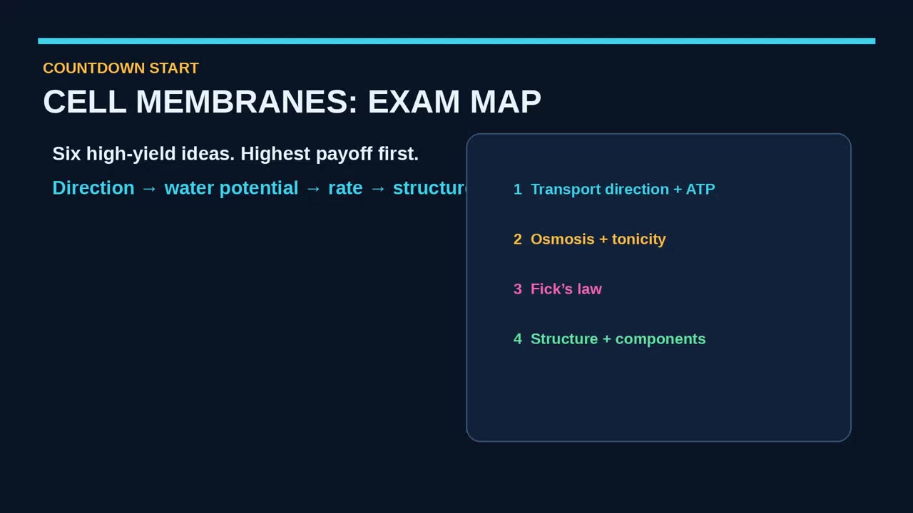 Cell Membranes and Transport: Exam-Eve Briefing