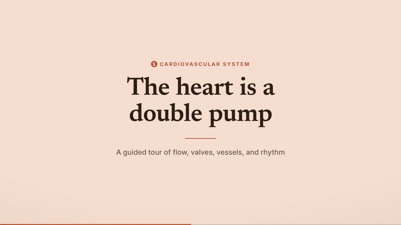 The Cardiovascular System: A Guided Tour of the Heart