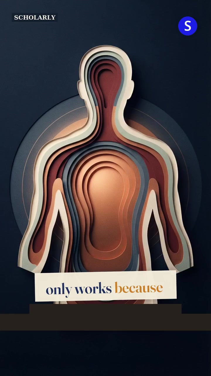 The Body Is Built in Layers