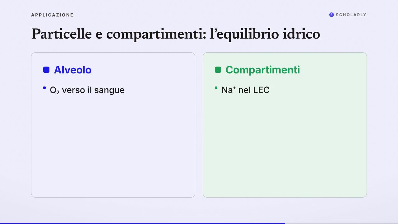Dalle particelle alle soluzioni: come la materia determina le sue proprietà