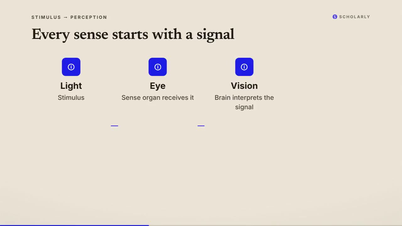 How Vision Works