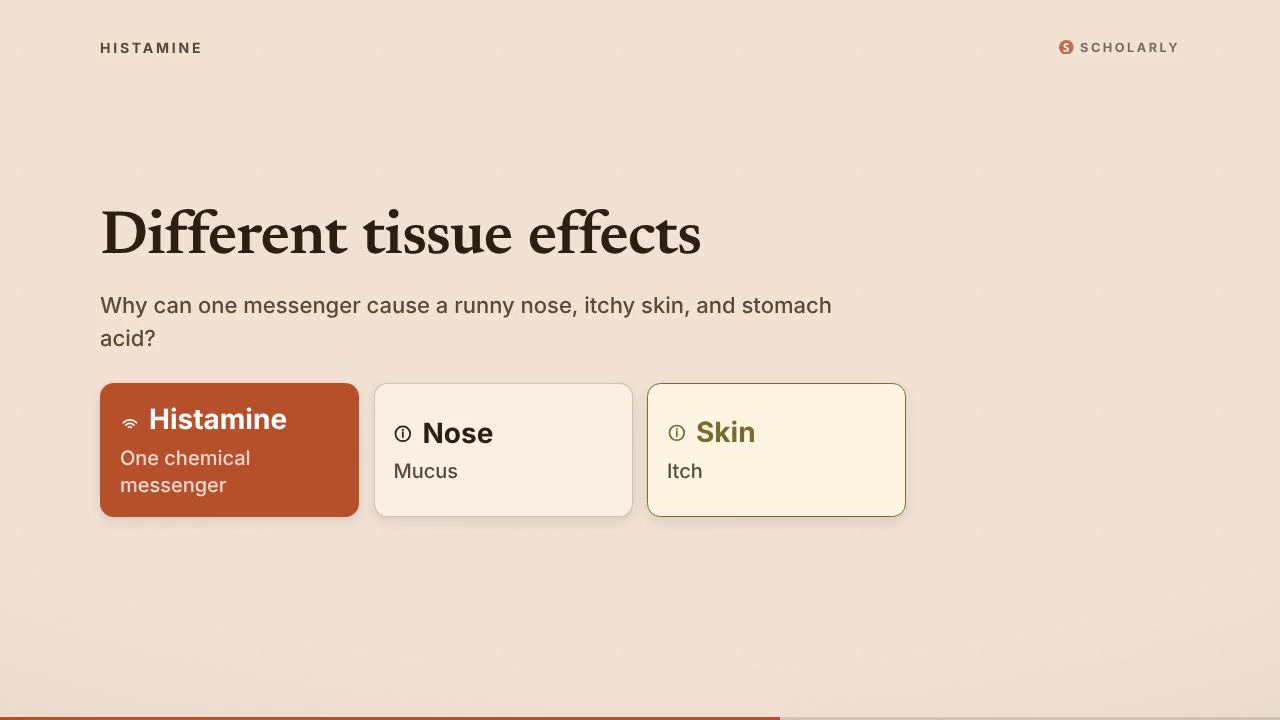 Histamine and Antihistamines: From Receptors to Symptoms