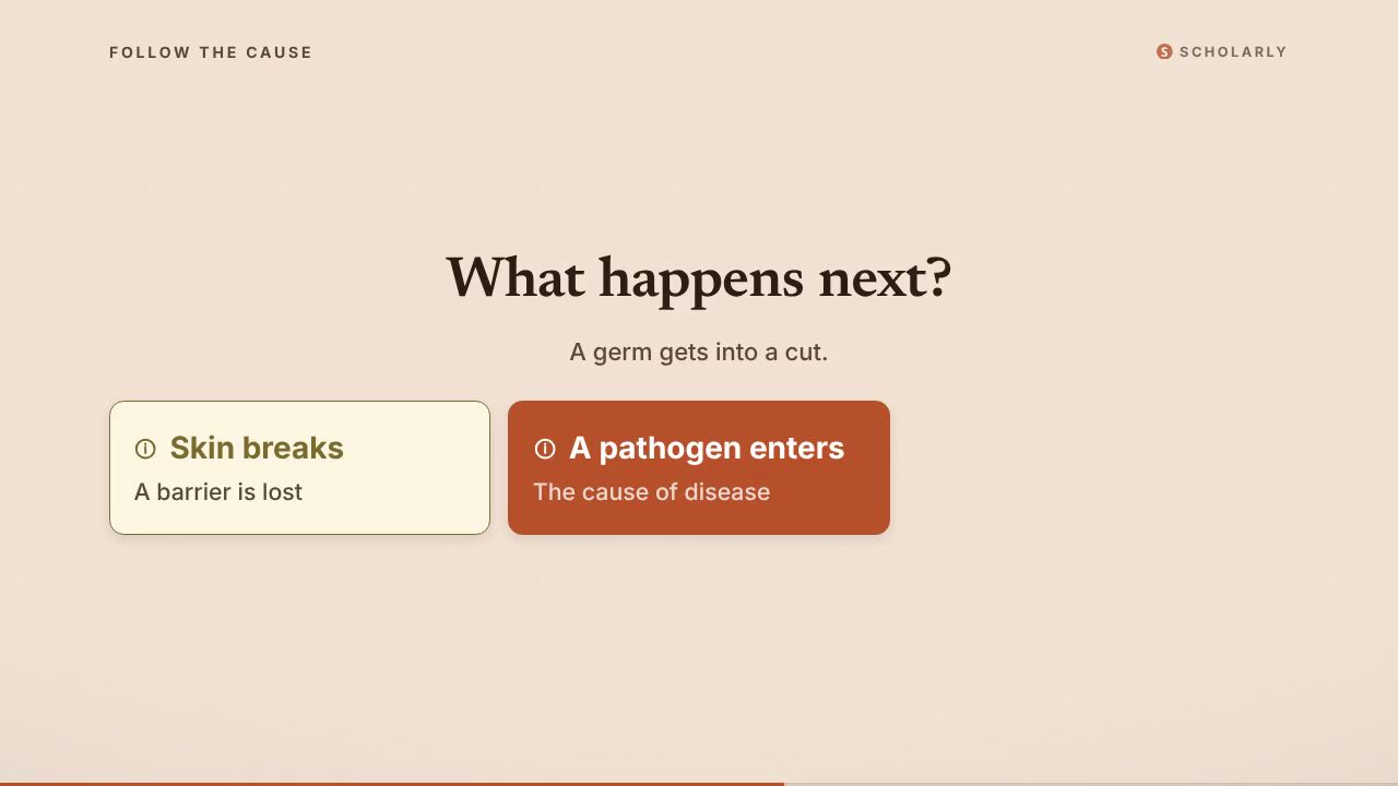 Infectious Disease and Immune Defense