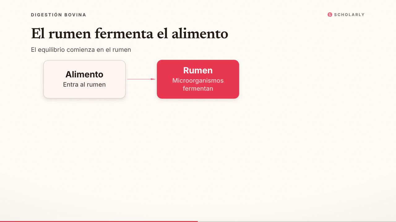 Alteraciones digestivas en vacas: una guía introductoria