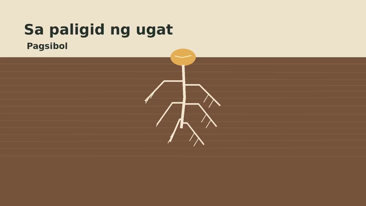 Mula Binhi Tungo sa Usbong: Biospark Trichoderma