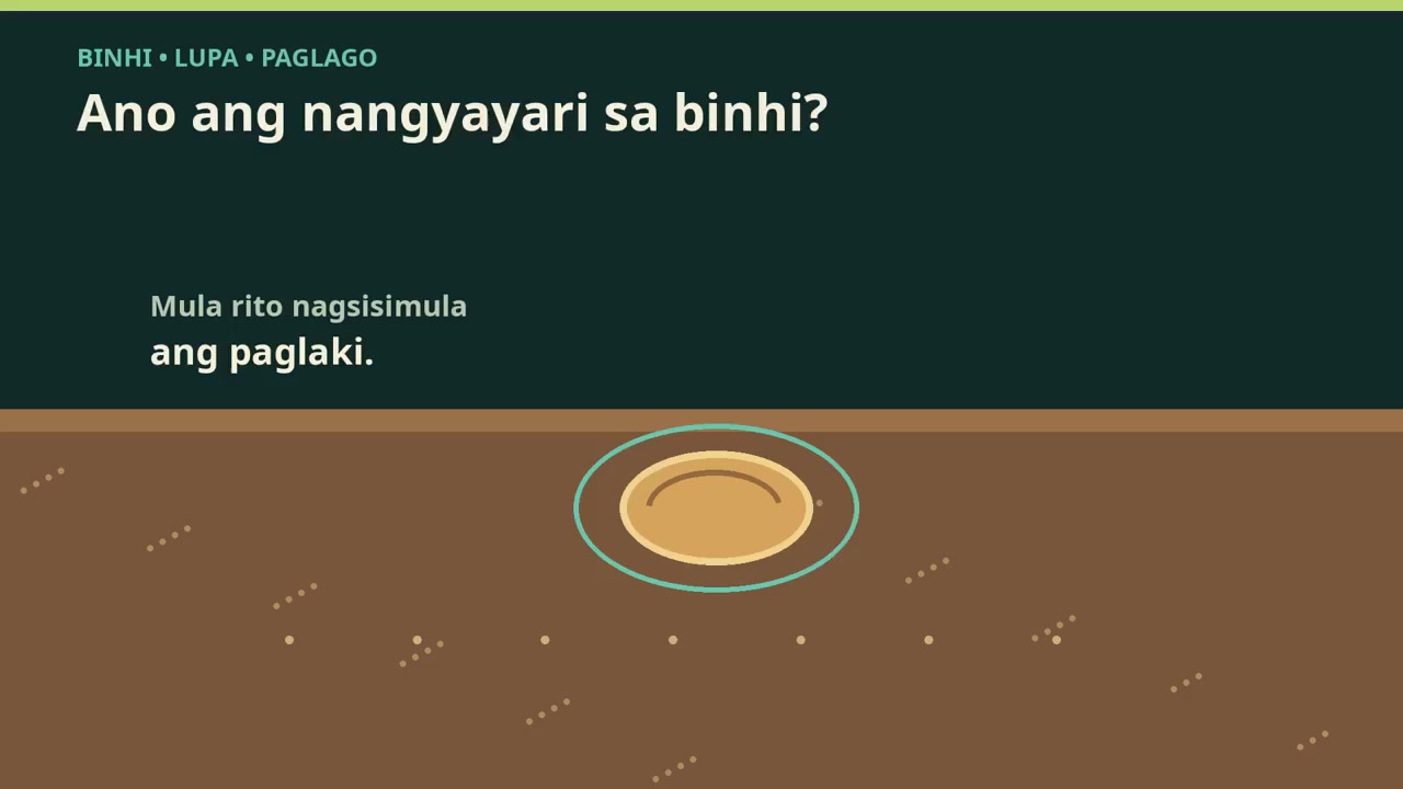 BIOSPARK TRICHODERMA: Mula Binhi Hanggang Ugat